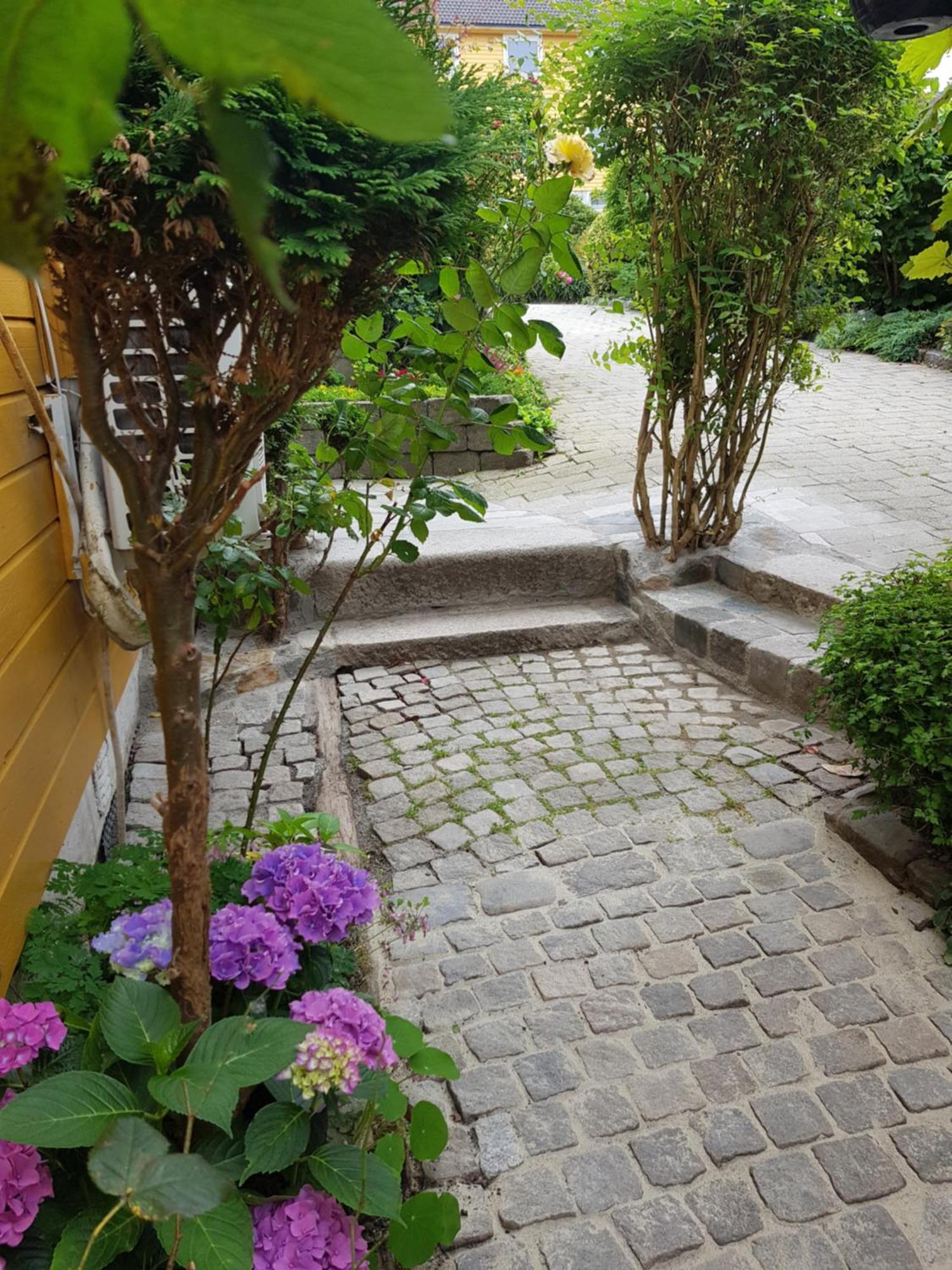 Gronnlunge Stavanger