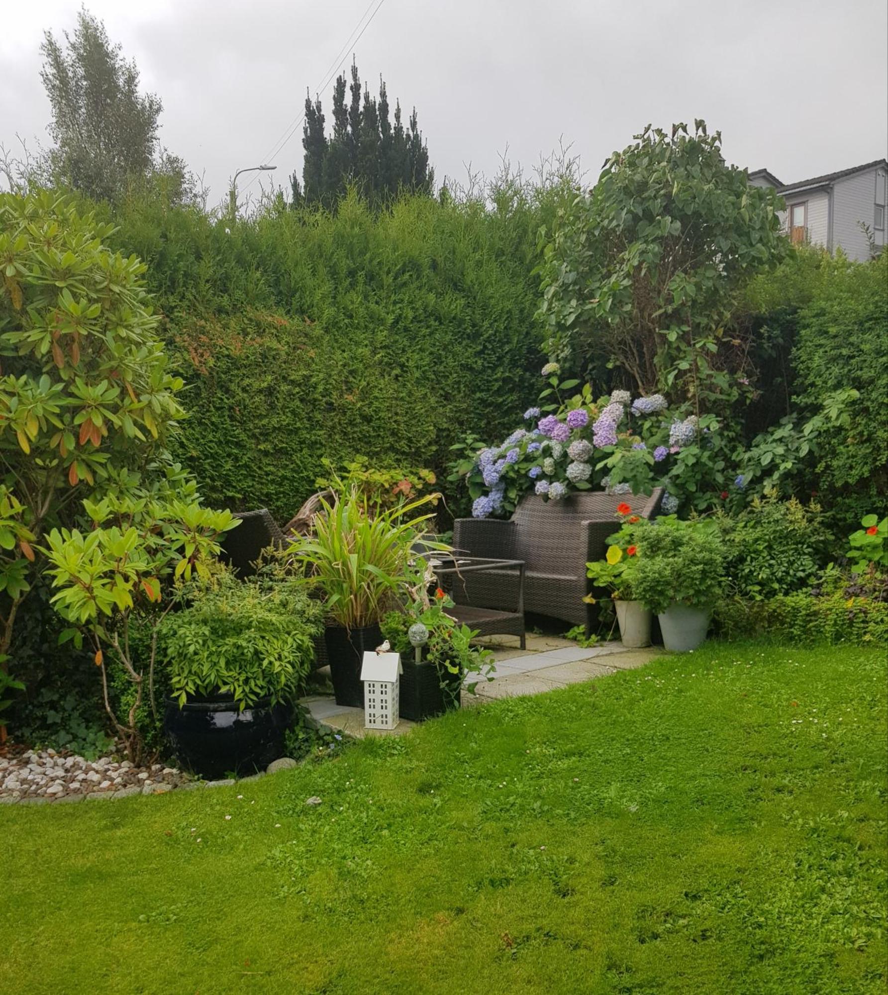 Gronnlunge * Stavanger